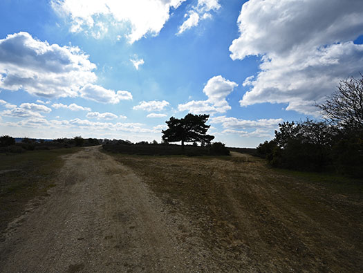 RAF Stoney Cross, 
USAAF Station 452, Hampshire, 
Communal Sites 2,3,4,5 & 6