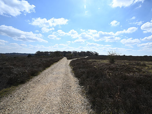 RAF Stoney Cross, 
USAAF Station 452, Hampshire, 
Communal Sites 2,3,4,5 & 6
