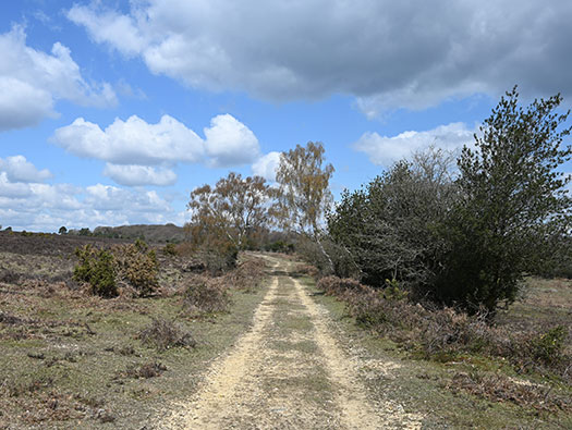 RAF Stoney Cross, 
USAAF Station 452, Hampshire, 
Communal Sites 2,3,4,5 & 6