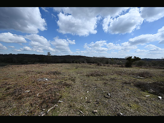 RAF Stoney Cross, 
USAAF Station 452, Hampshire, 
Communal Sites 2,3,4,5 & 6