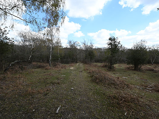 RAF Stoney Cross, 
USAAF Station 452, Hampshire, 
Communal Sites 2,3,4,5 & 6