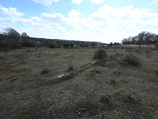 RAF Stoney Cross, 
USAAF Station 452, Hampshire, 
Communal Sites 2,3,4,5 & 6