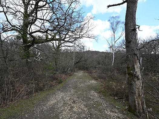RAF Stoney Cross, 
USAAF Station 452, Hampshire, 
Communal Sites 2,3,4,5 & 6