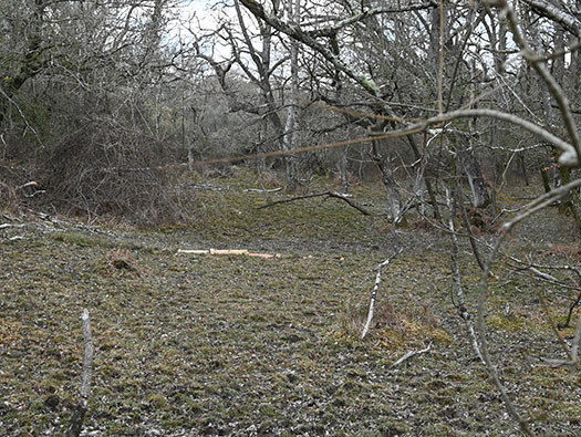 RAF Stoney Cross, 
USAAF Station 452, Hampshire, 
Communal Sites 2,3,4,5 & 6