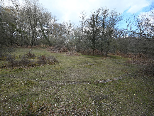 RAF Stoney Cross, 
USAAF Station 452, Hampshire, 
Communal Sites 2,3,4,5 & 6