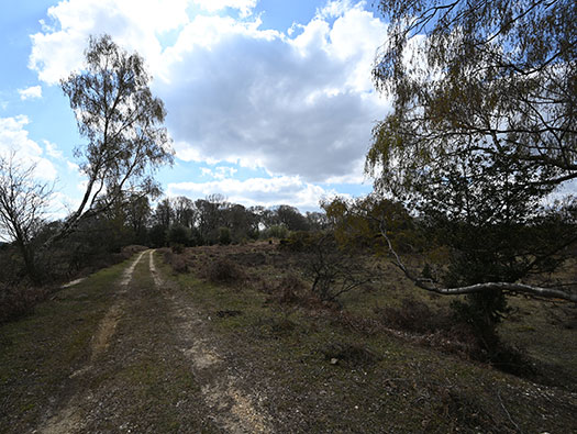 RAF Stoney Cross, 
USAAF Station 452, Hampshire, 
Communal Sites 2,3,4,5 & 6