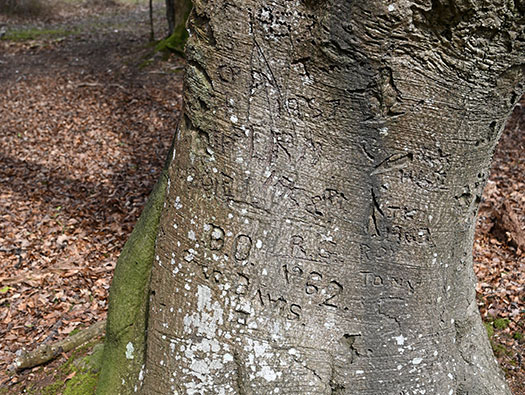 RAF Stoney Cross, 
USAAF Station 452, Hampshire, 
Communal Sites 2,3,4,5 & 6