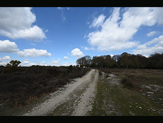 RAF Stoney Cross, 
USAAF Station 452, Hampshire, 
Communal Sites 2,3,4,5 & 6