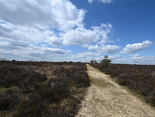 RAF Stoney Cross, 
USAAF Station 452, Hampshire, 
Communal Sites 2,3,4,5 & 6