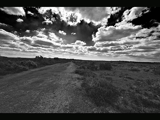 RAF Stoney Cross, 
USAAF Station 452, Hampshire, 
Communal Sites 2,3,4,5 & 6