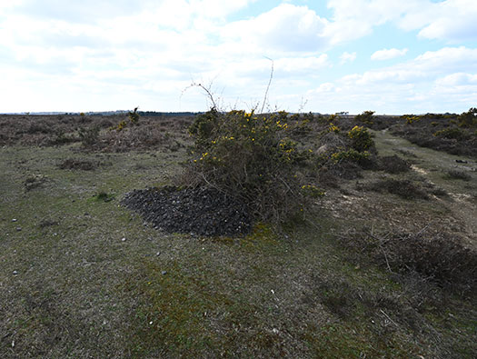 RAF Stoney Cross, 
USAAF Station 452, Hampshire, 
Communal Sites 2,3,4,5 & 6