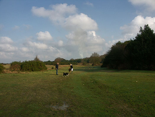 RAF Holmsley South