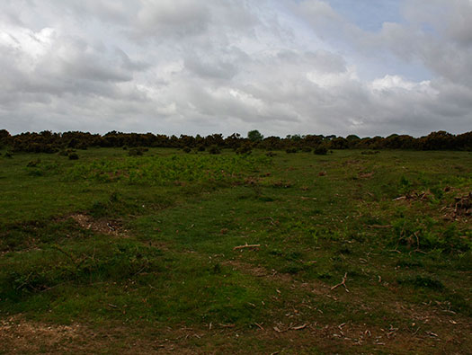 RAF Holmsley South