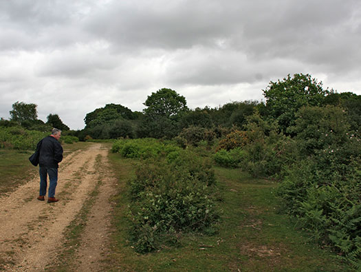 RAF Holmsley South