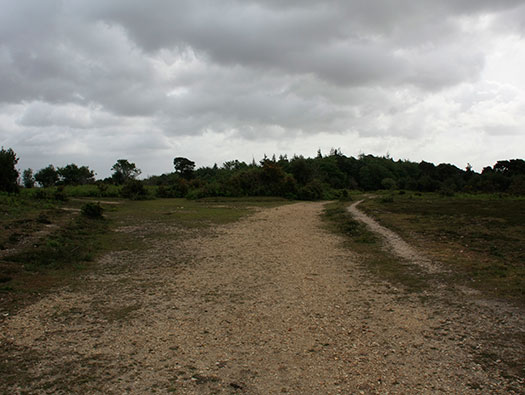 RAF Holmsley South