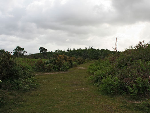 RAF Holmsley South