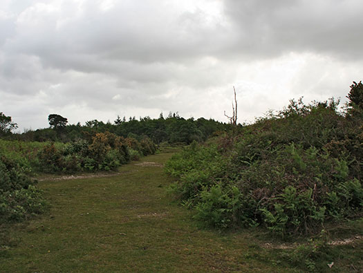RAF Holmsley South