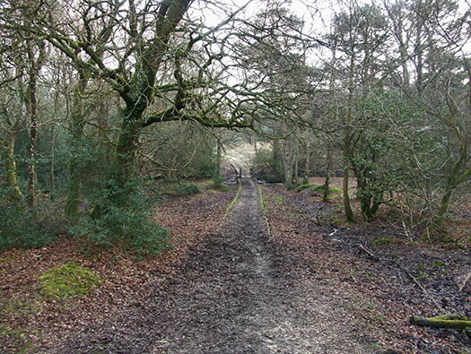 RAF Holmsley South