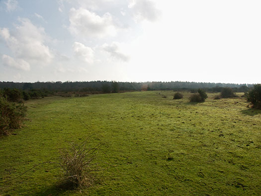 RAF Holmsley South