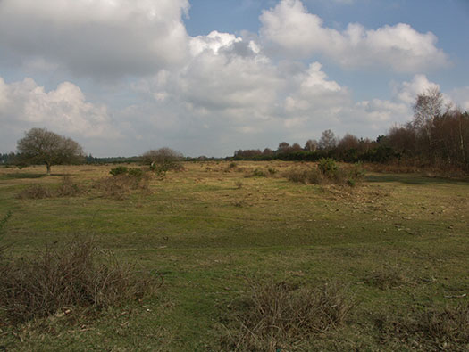 RAF Holmsley South