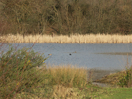 RAF Holmsley South