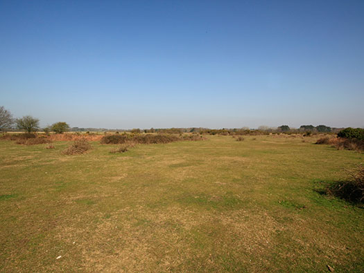 RAF Holmsley South