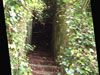 RAF Clyffe Pypard stairs down.
