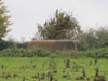 RAF Keevil's Cupola.