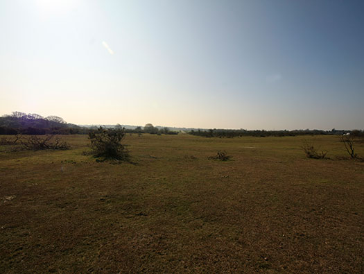 RAF Holmsley South