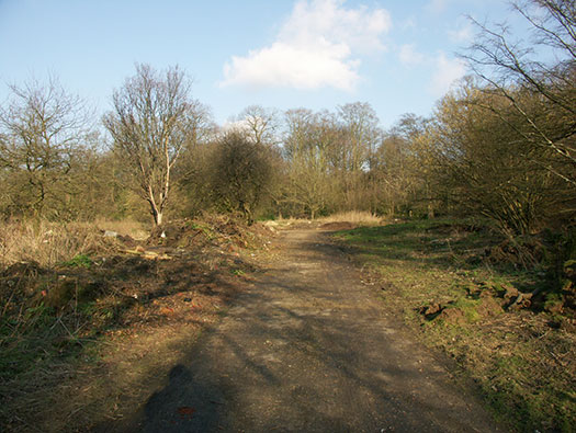 RAF Holmsley South Domestic sites