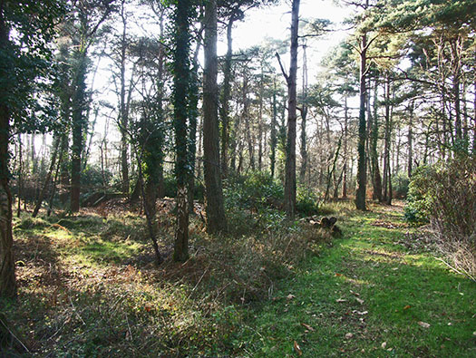 RAF Holmsley South Domestic sites