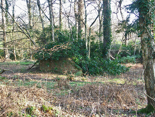 RAF Holmsley South Domestic sites