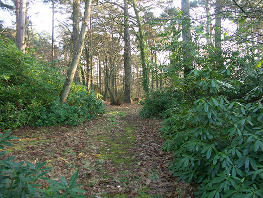 RAF Holmsley South Domestic sites