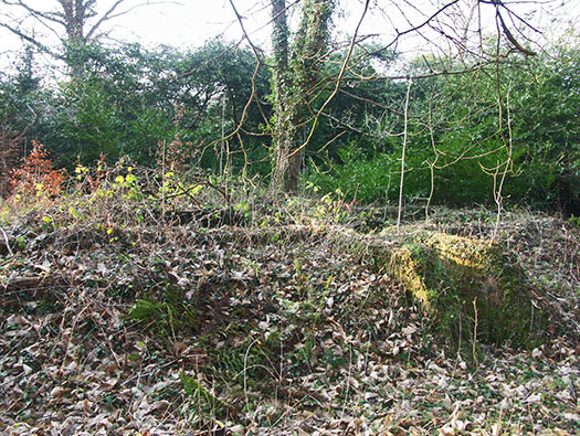 RAF Holmsley South Domestic sites
