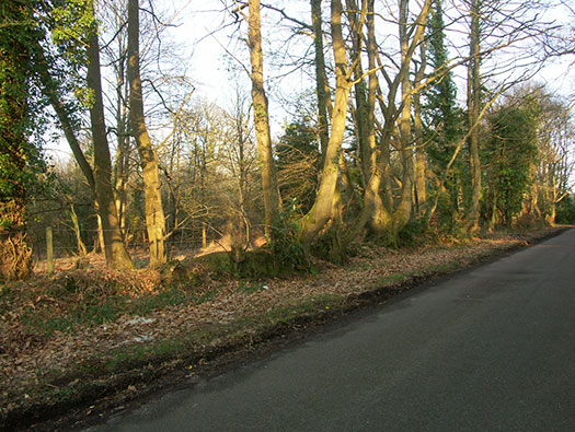 RAF Holmsley South Domestic sites