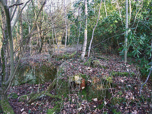 RAF Holmsley South Domestic sites
