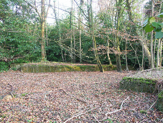 RAF Holmsley South Domestic sites