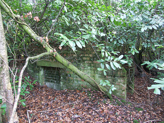 RAF Holmsley South Domestic sites