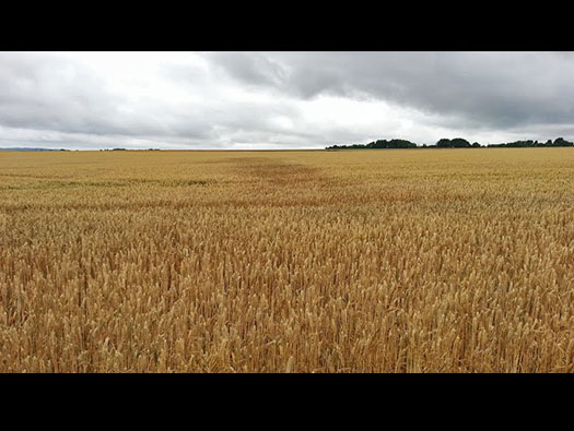RAF Tarrant Rushton, Airfield Site