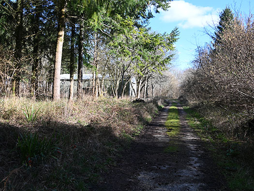 RAF Tarrant Rushton, Dispersed Sites