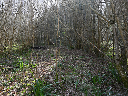 RAF Tarrant Rushton, Dispersed Sites