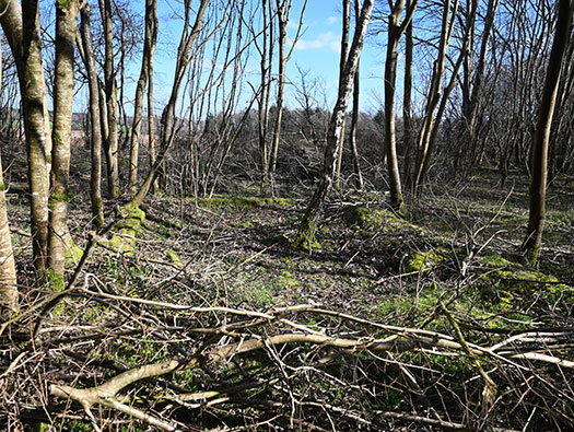 RAF Tarrant Rushton, Dispersed Sites