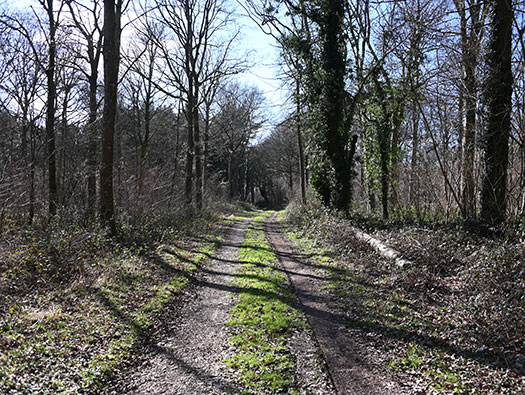 RAF Tarrant Rushton, Dispersed Sites