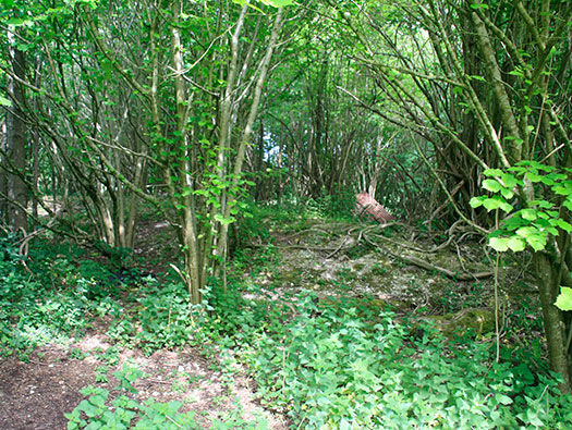 RAF Tarrant Rushton,  Bomb Store