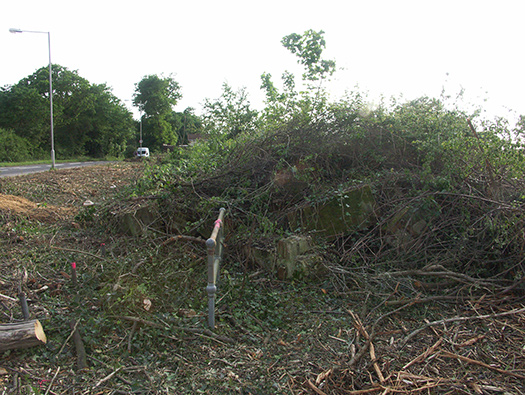 RAF Warmwell Airfield Site