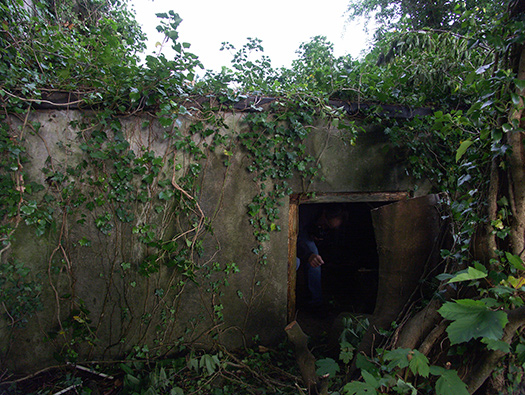 RAF Warmwell Airfield Site