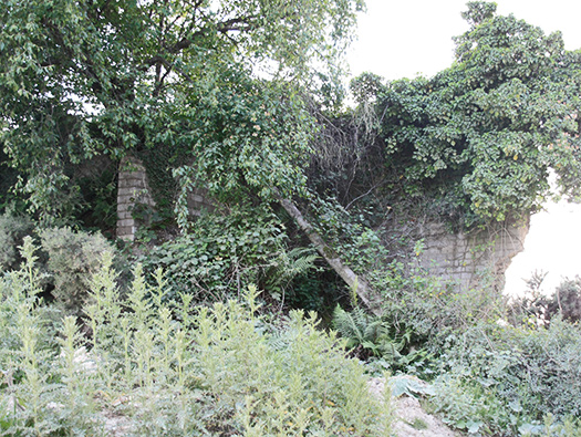RAF Warmwell Airfield Site