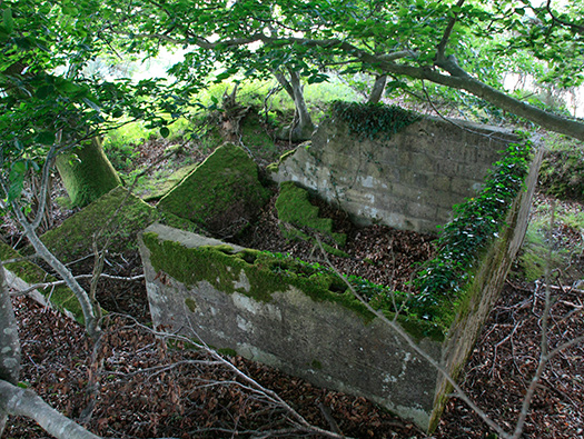 RAF Warmwell Airfield Site