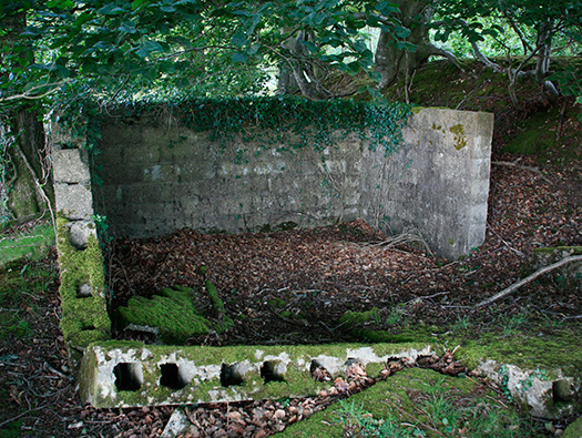 RAF Warmwell Airfield Site