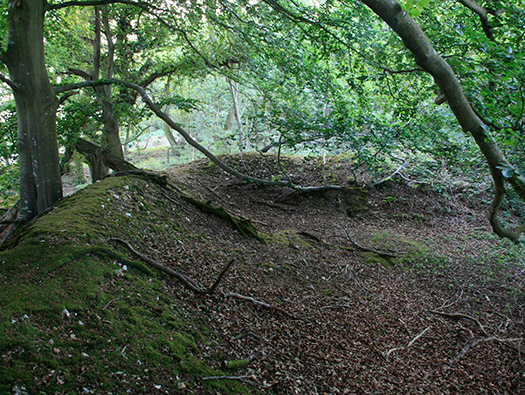RAF Warmwell Airfield Site
